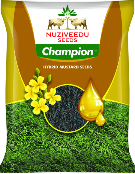 Mustard Champion